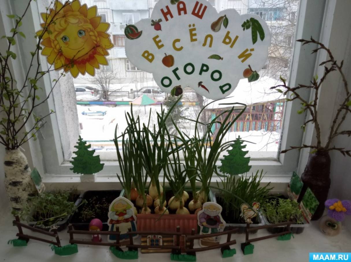 Веселый огород на окне. Огород на окне. Огород на подоконнике. Сад на окне в детском саду. Огородик в детском саду на подоконнике.