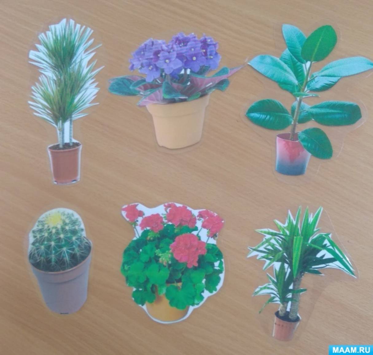 Мир цветов младшая группа. Комнатные растения занятие. Поделка комнатные растения. Комнатные растения для детей подготовительной группы. Комнатные растения для дошкольников.