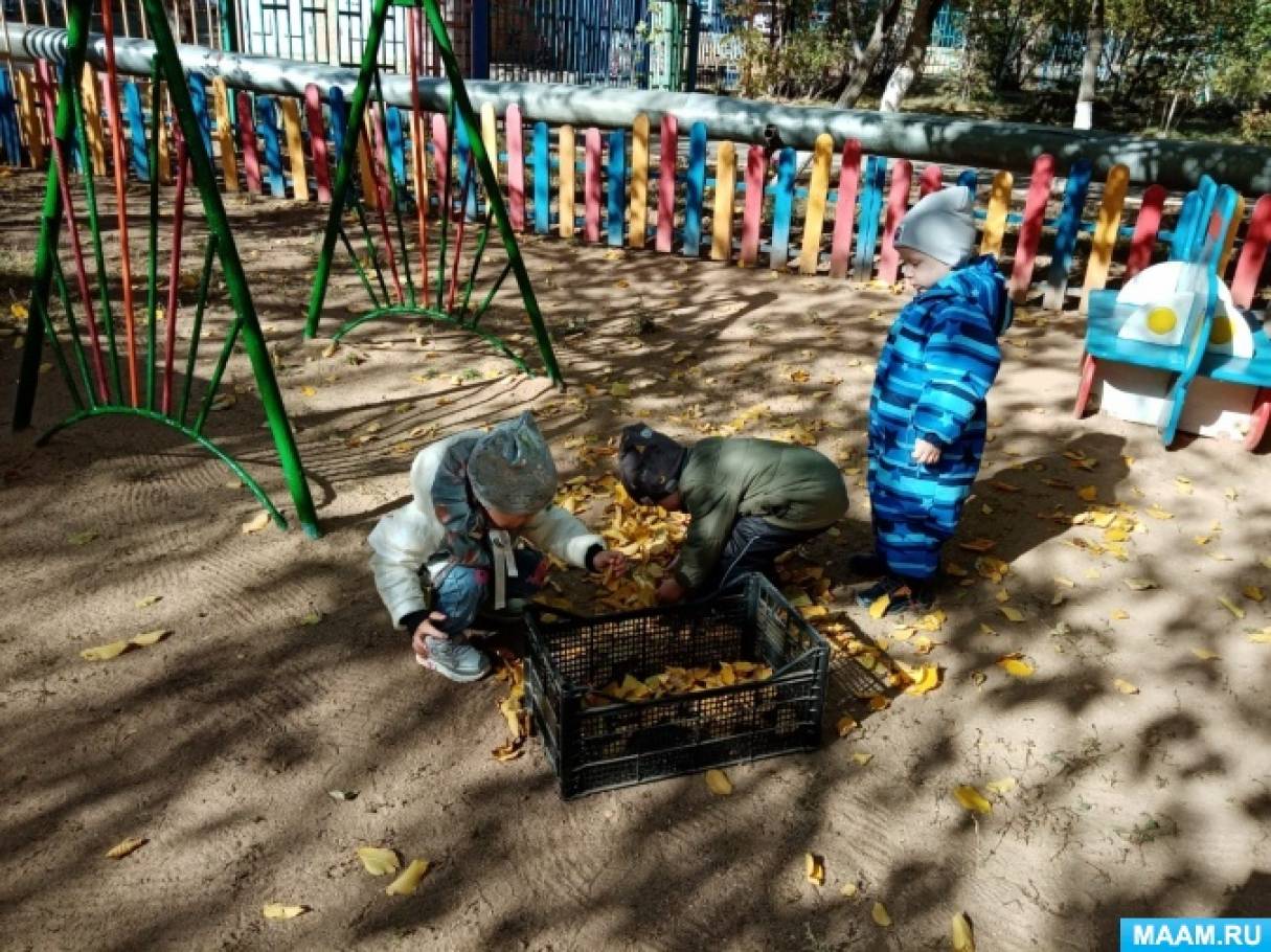 Фотоотчет «Осенняя прогулка» Фото Фотоотчет «Осенняя прогулка»