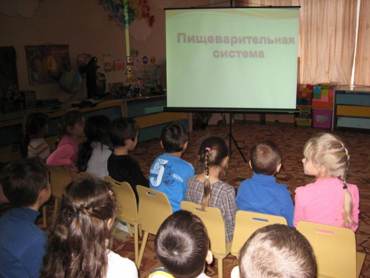 Конспект занятия «Пищеварительная система человека»