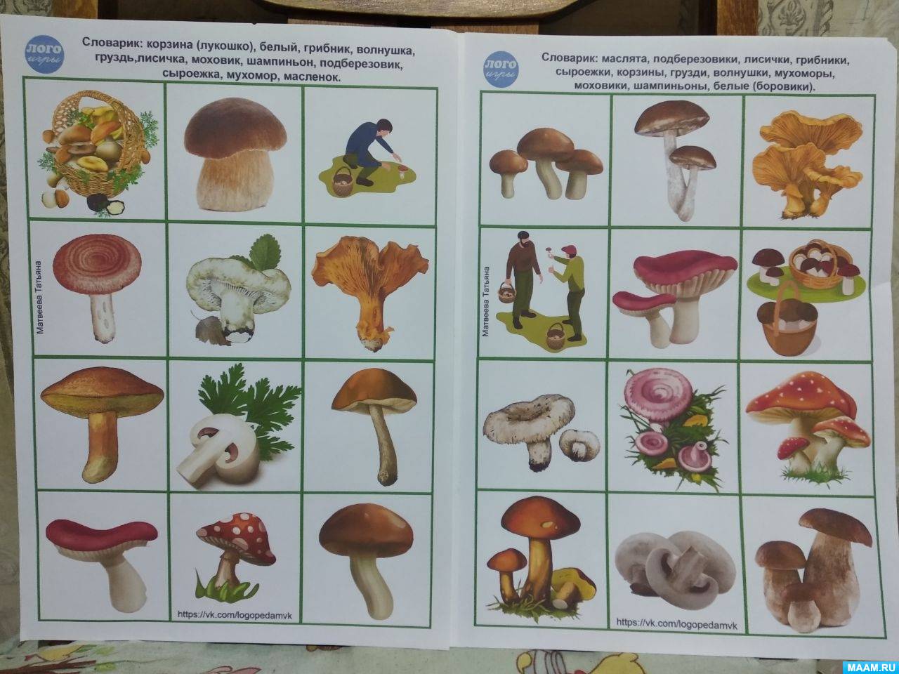 ������������ ��� ���������� ���������� ������ � ����������� �� ���� �������