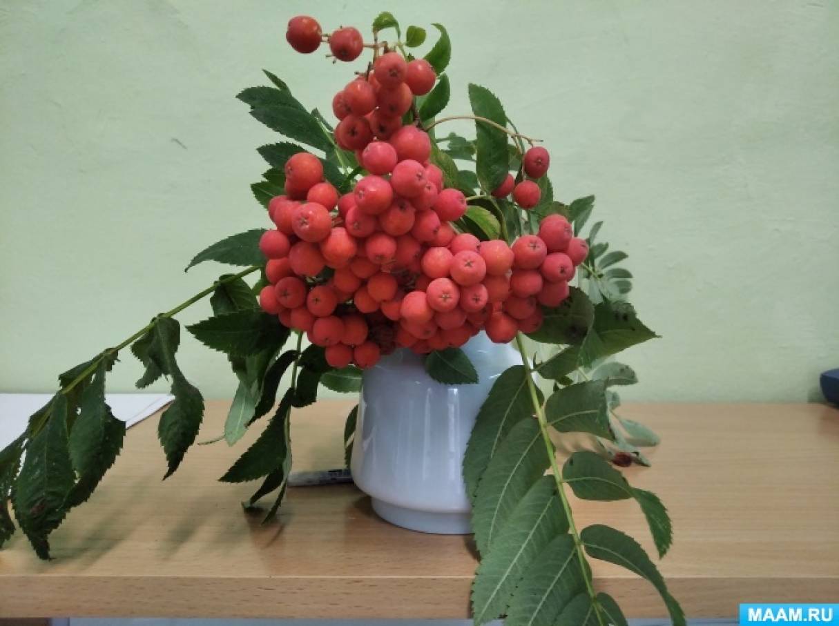 Поделки из рябины