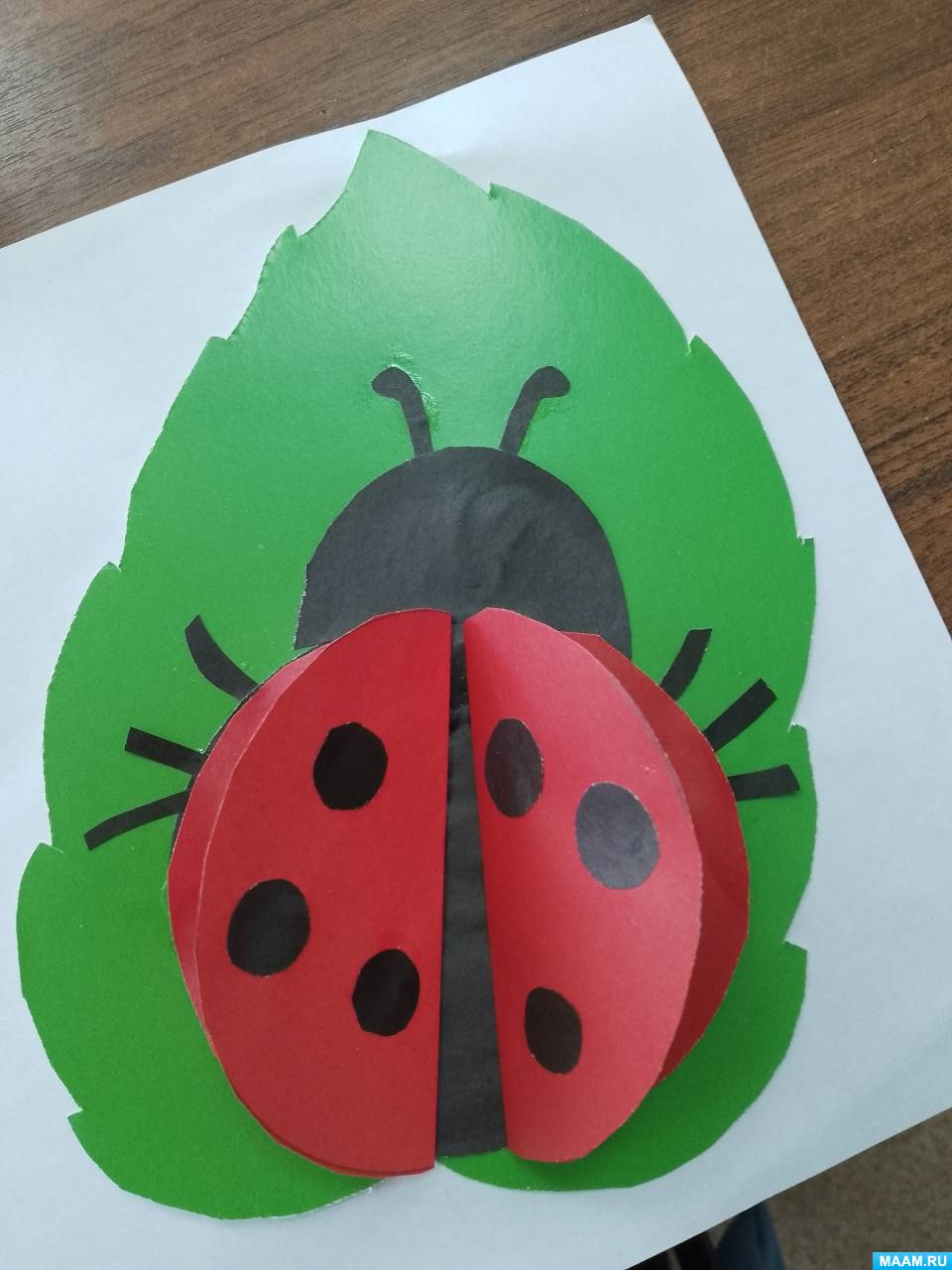 ������-����� �� ���������� ������ ������� ��� ������� ������