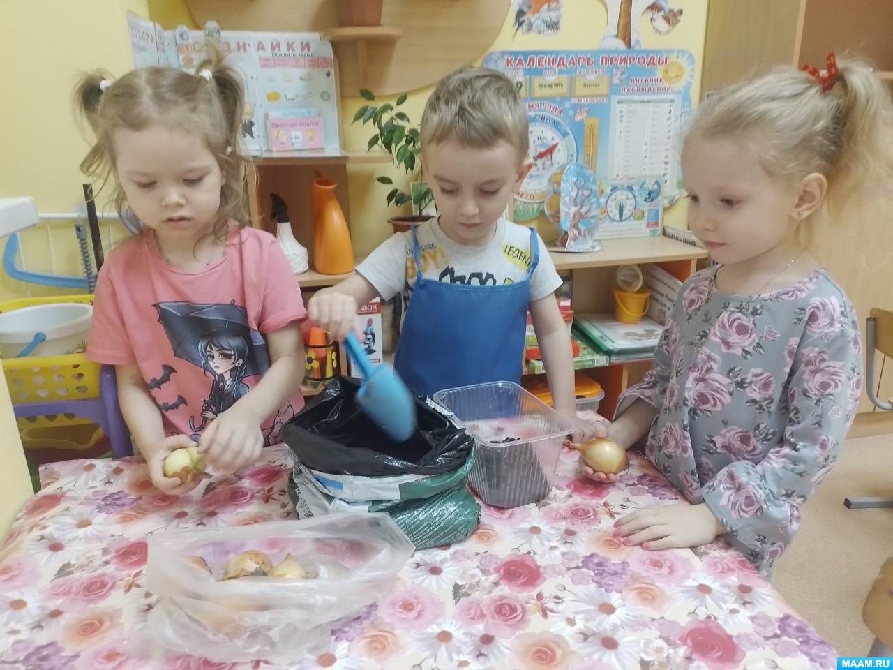 Краткосрочный проект средняя группа экология Экология, экологическое воспитание, природа Фотоотчёты Страница 570. Воспита
