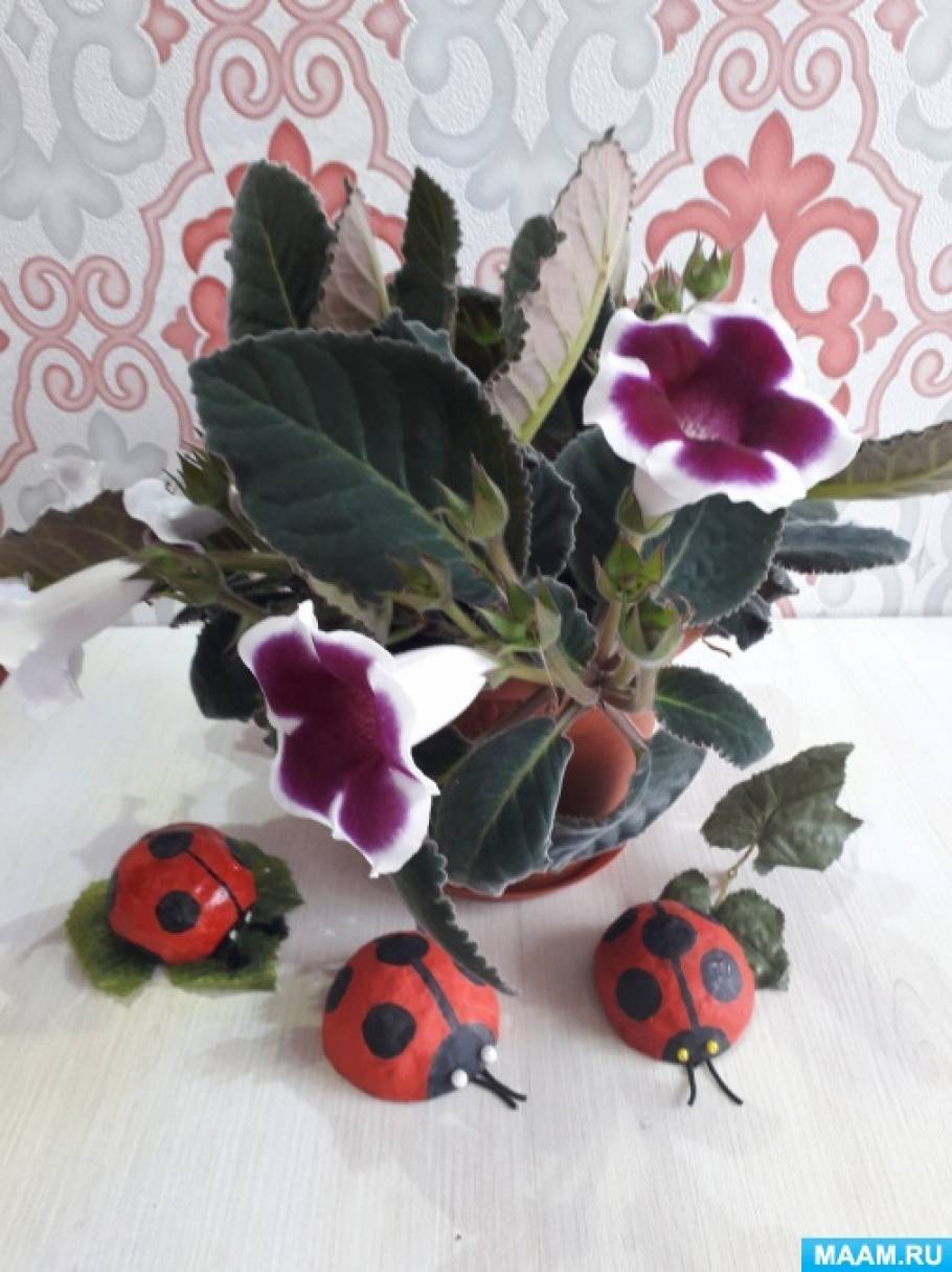 Как сделать игрушку божью коровку. Смотреть фото Как сделать игрушку божью коровку. Смотреть картинку Как сделать игрушку божью коровку. Картинка про Как сделать игрушку божью коровку. Фото Как сделать игрушку божью коровку Как сделать игрушку божью коровку. Смотреть фото Как сделать игрушку божью коровку. Смотреть картинку Как сделать игрушку божью коровку. Картинка про Как сделать игрушку божью коровку. Фото Как сделать игрушку божью коровку