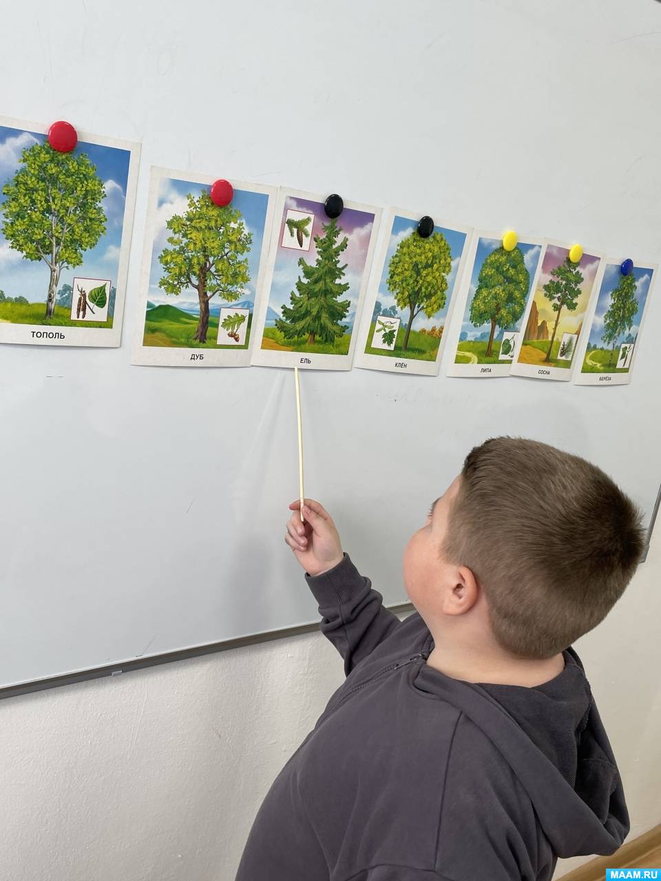 �������� ��������������� ������� �� ���� ��������� � 1 ������