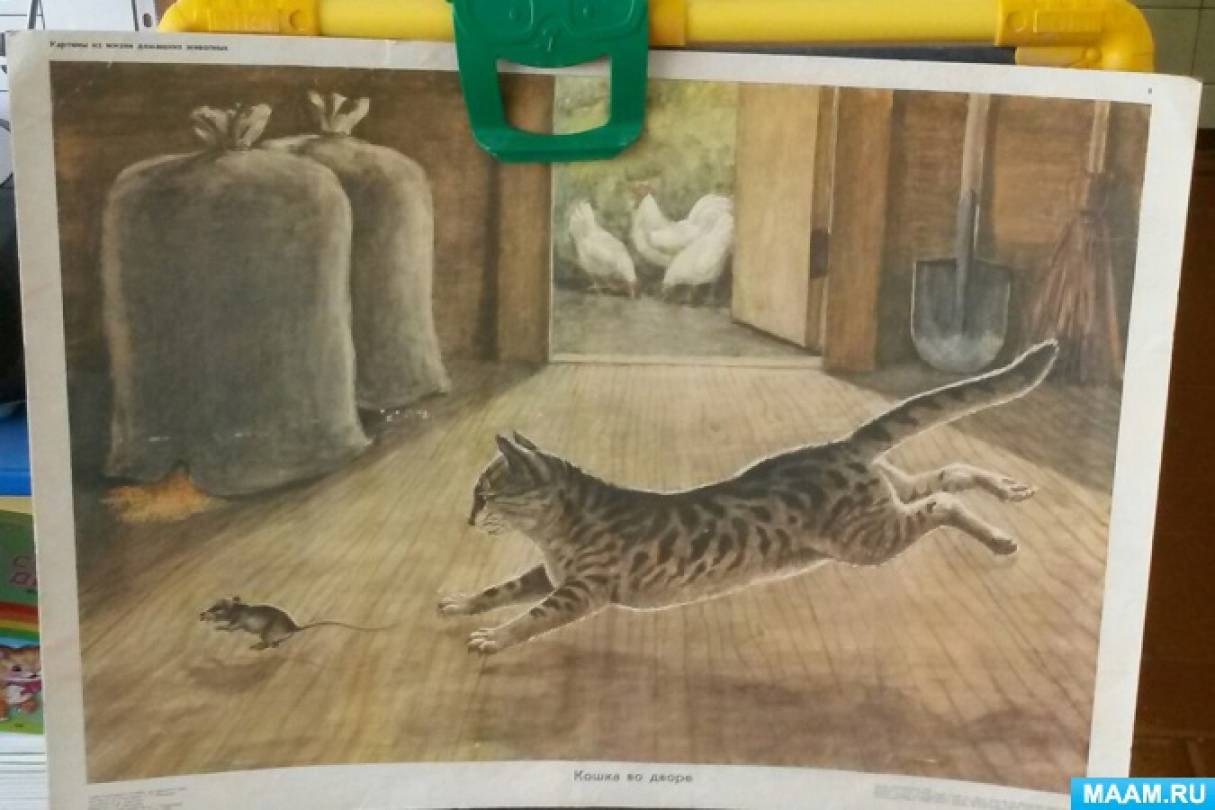 Картины кошка с котятами в средней группе рассматривание
