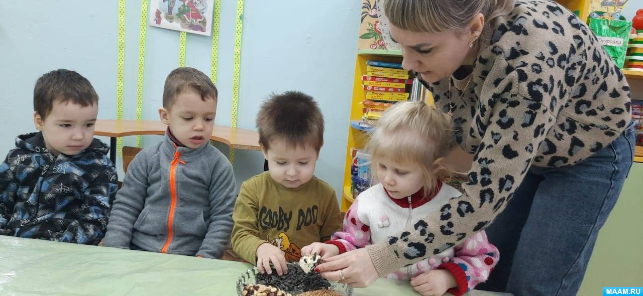 Мастер-класс «Экокормушки из шишек для зимующих птиц» (18 фото ...