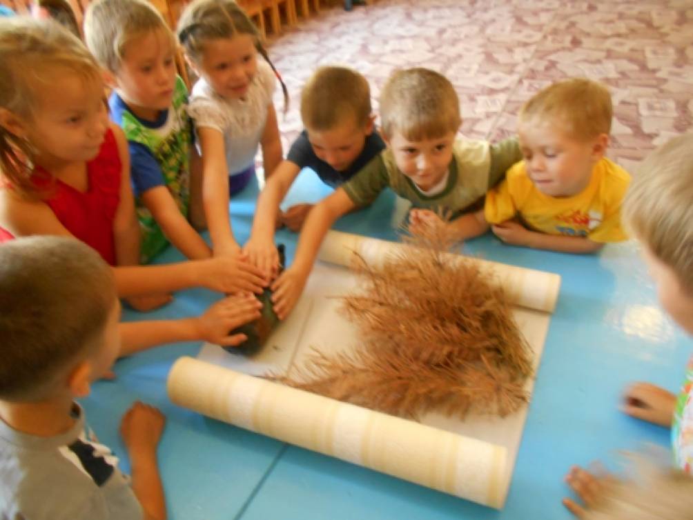 Осенний ежик Фото Осенний ежик