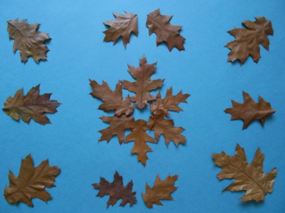 Узор Из Осенних Листьев 1 Класс Фото