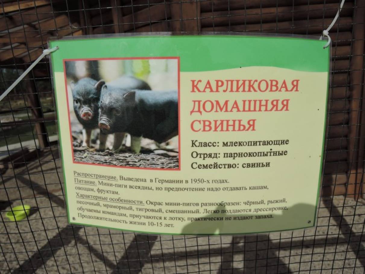 Смотреть фотографию №45 Фото №45 Другое озеро предназначено для рыболовов рыболовные снасти предоставляются в аренду