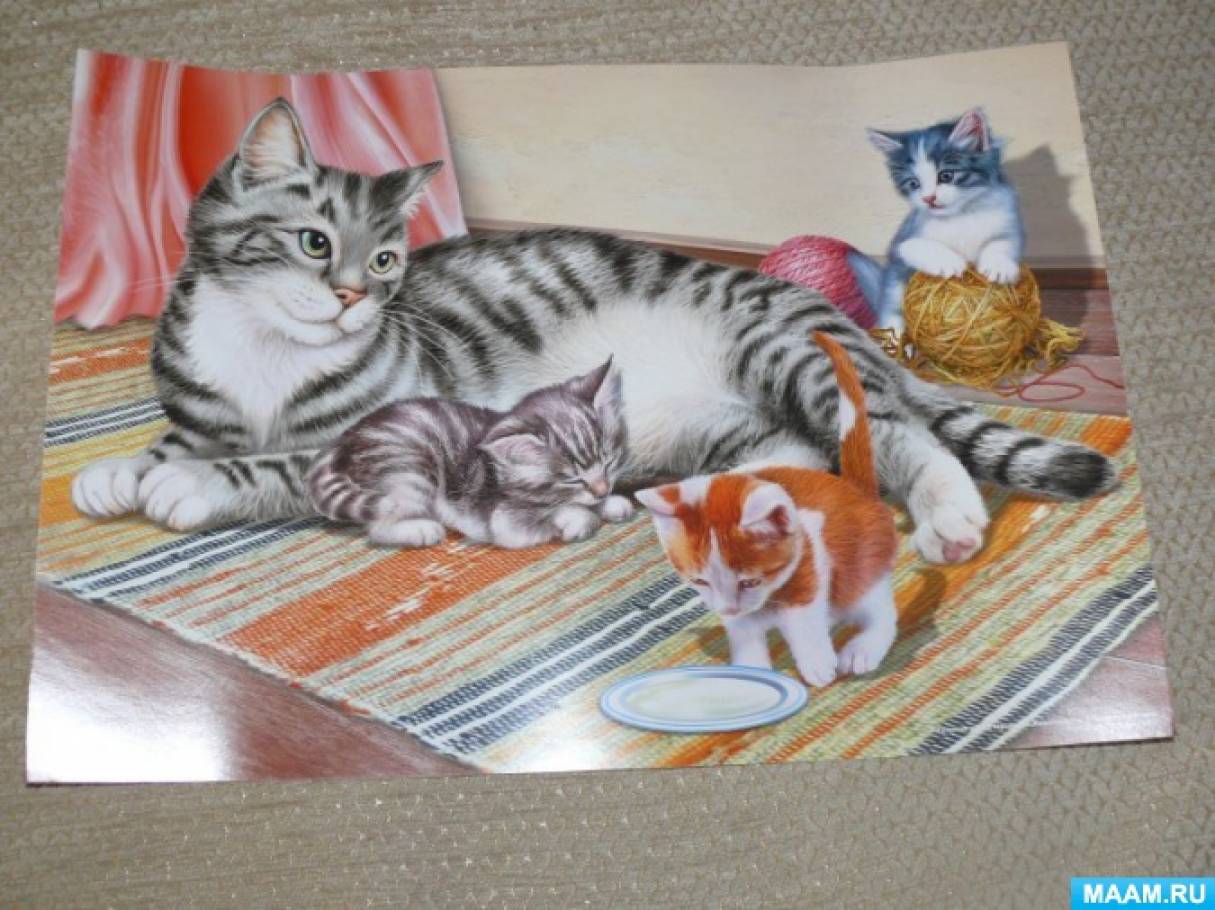 Кошка с котятами детский сад. Картина кошка с котятами. Кошка и котенок для детей. Картина для рассматривания кошка с котятами. Картина кошка с котятами для детского сада.