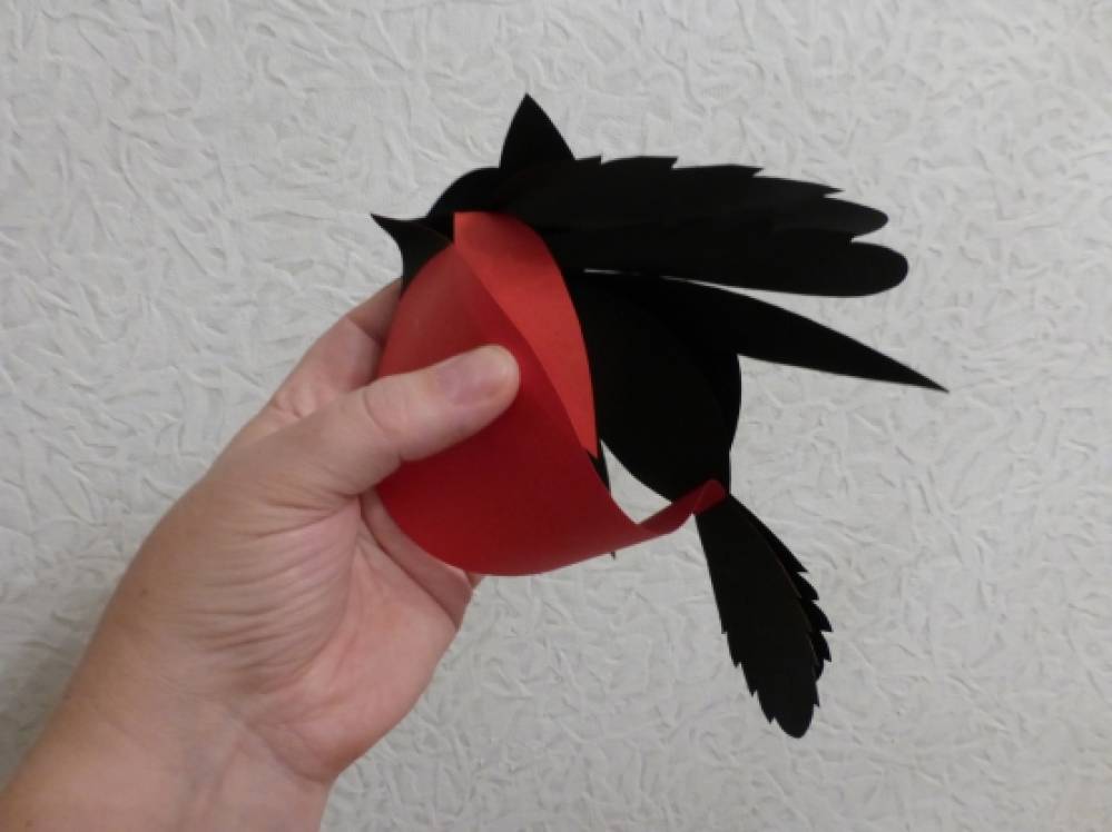 Поделка снегирь. Снегирь из бумаги объемный. Снегирь поделка из бумаги. Аппликация птицы. Снегирь из картона.