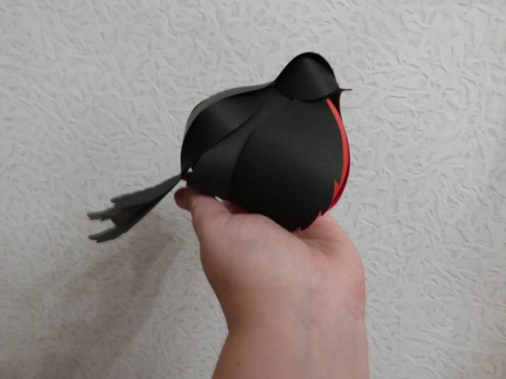 Аппликация снегирь из цветной бумаги. Снегирь поделка из бумаги. Аппликация снегирь. Объемная аппликация снегирь. Объемная аппликация снегирь.