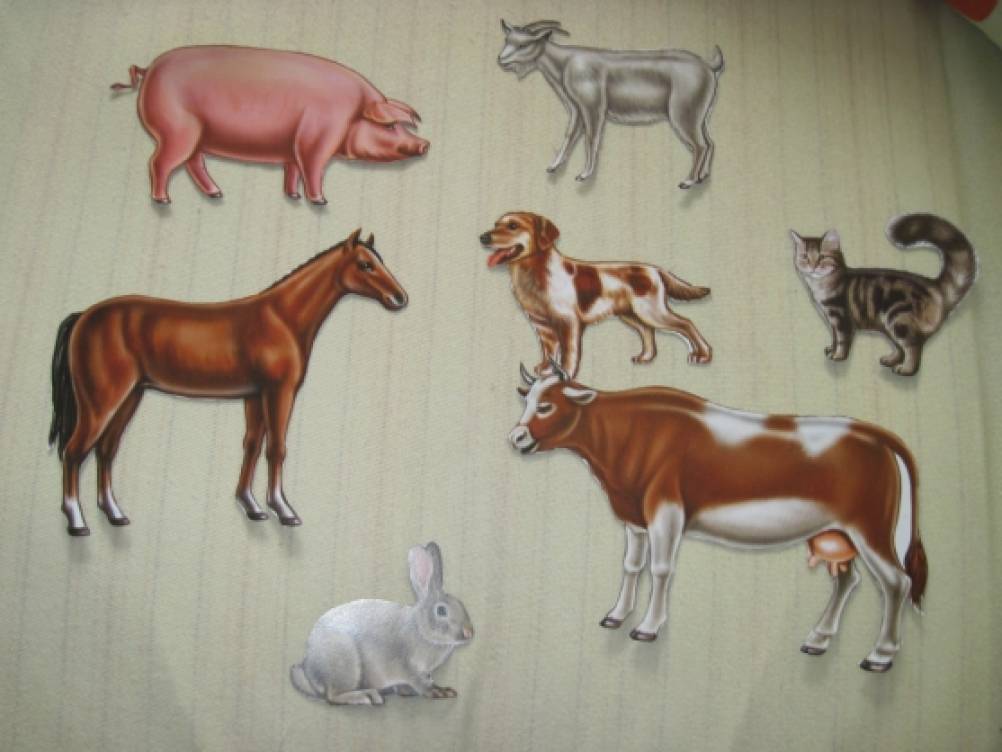 Конспект средней группы домашние животные. Рисование домашние животные Детеныши подготовительная группа.