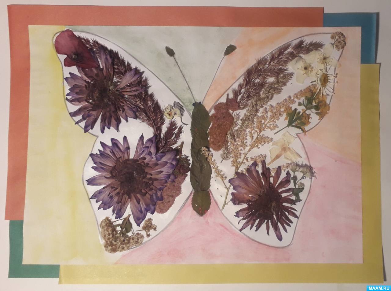 Мастер-класс по изготовлению картины «Бабочка» методом аппликации из сухой травы и цветов