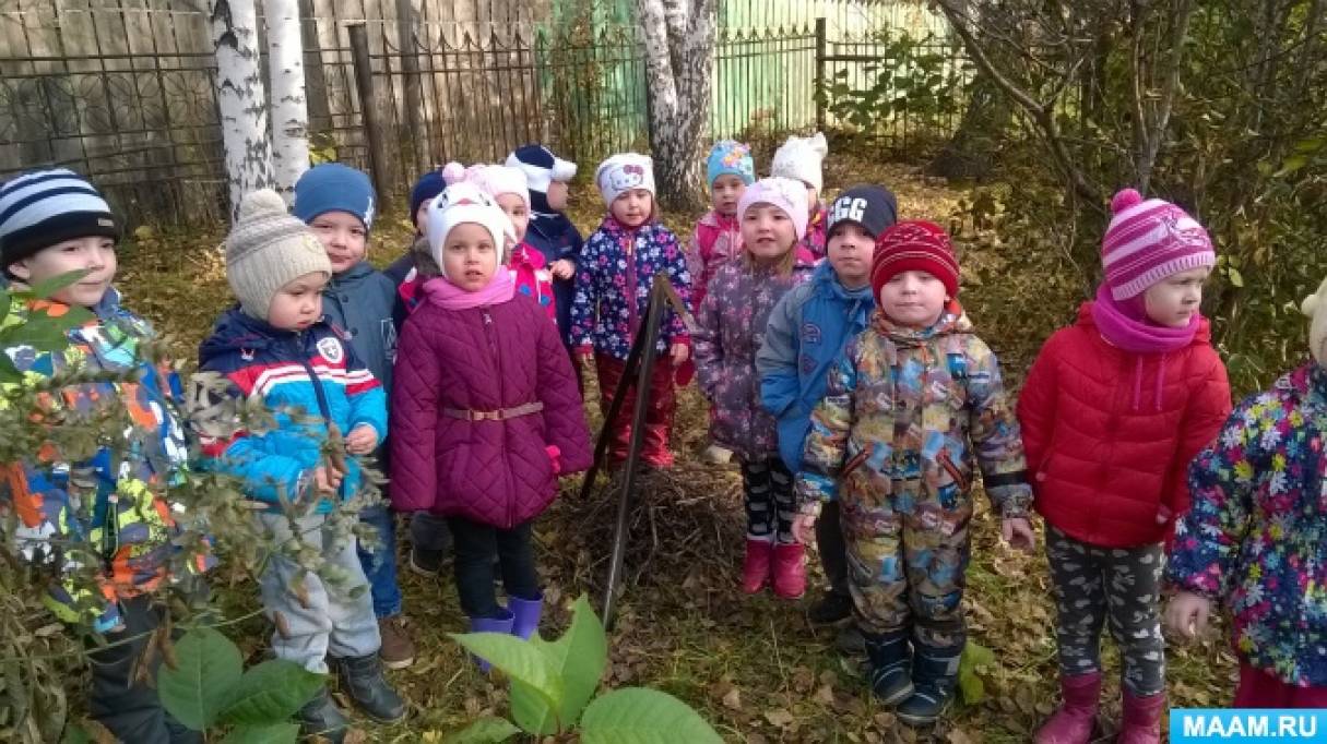 Смотреть фотографию №2 Фото №2 Средний дошкольный возраст
