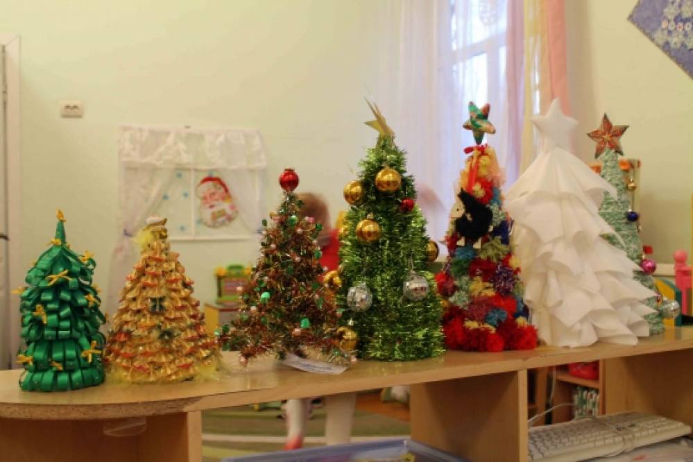 Наши красавицы ёлочки! Фото Наши красавицы ёлочки!