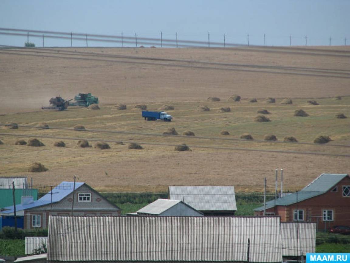 самарский зерносовхоз. самарский зерносовхоз. самарский зерносовхоз. самарский зерносовхоз. совхоз самарский волжский район.