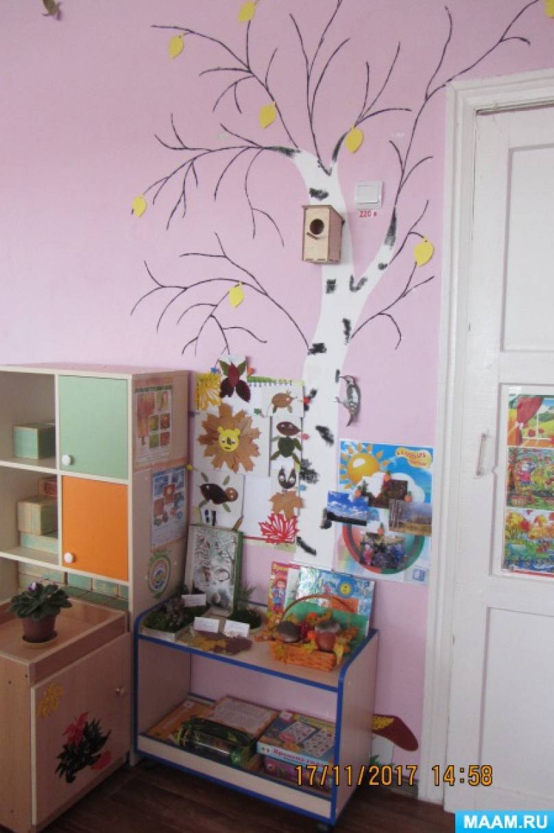 Уголок природы как часть предметно-развивающей среды группы Фото Уголок природы как часть предметно-развивающей среды группы