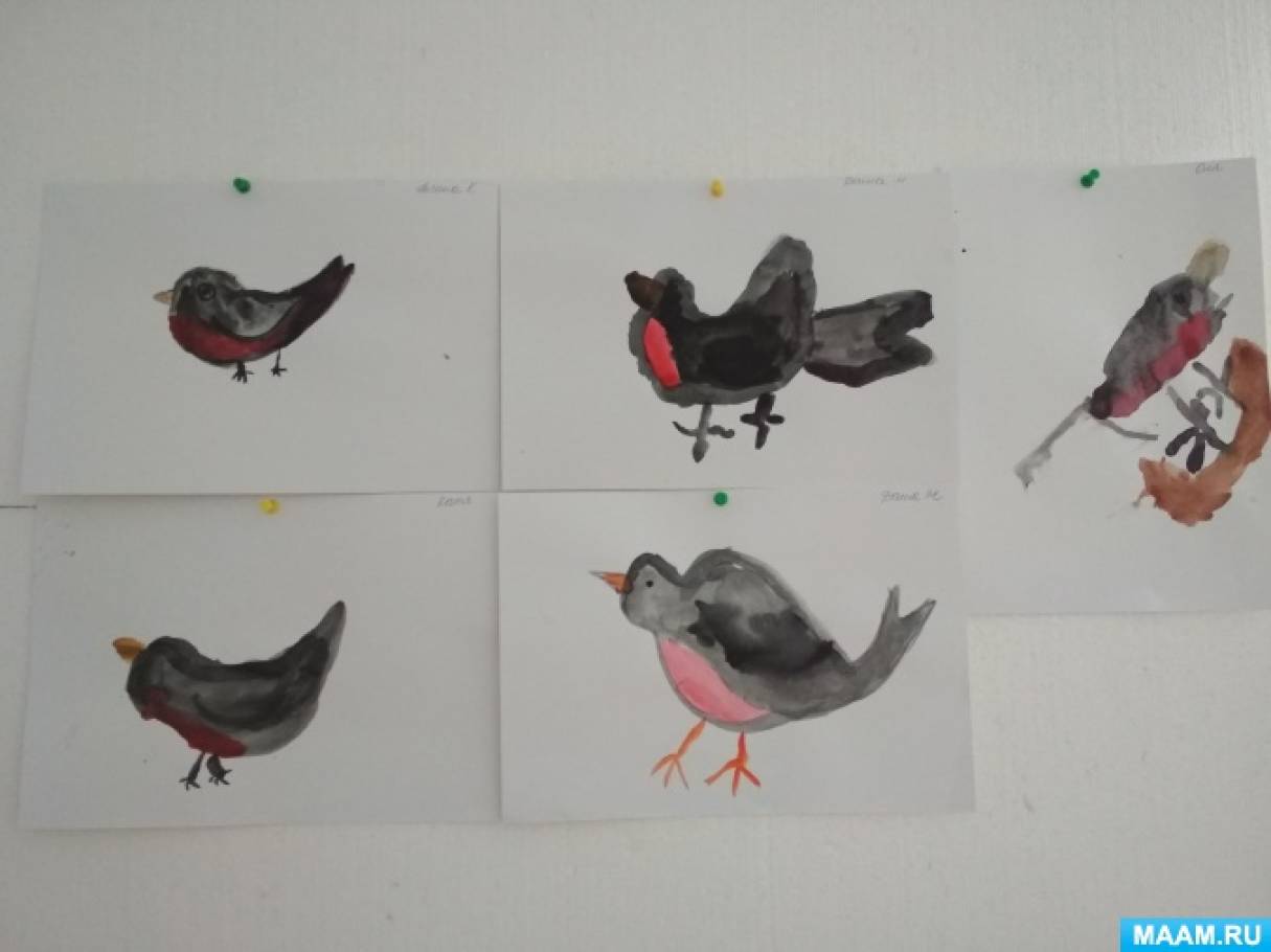 Занятие рисование перелетные птицы. ФЭМП перелетные птицы старшая группа. Проект перелетные птицы средняя группа. Рисование птицы в средней группе. Рисование в старшей группе на тему перелетные птицы и зимующие.