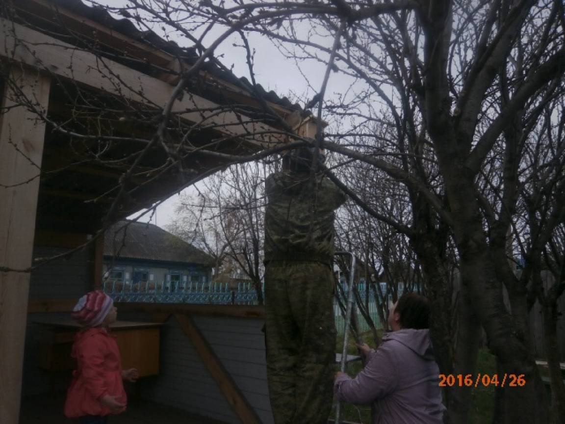 Акция построй птице дом