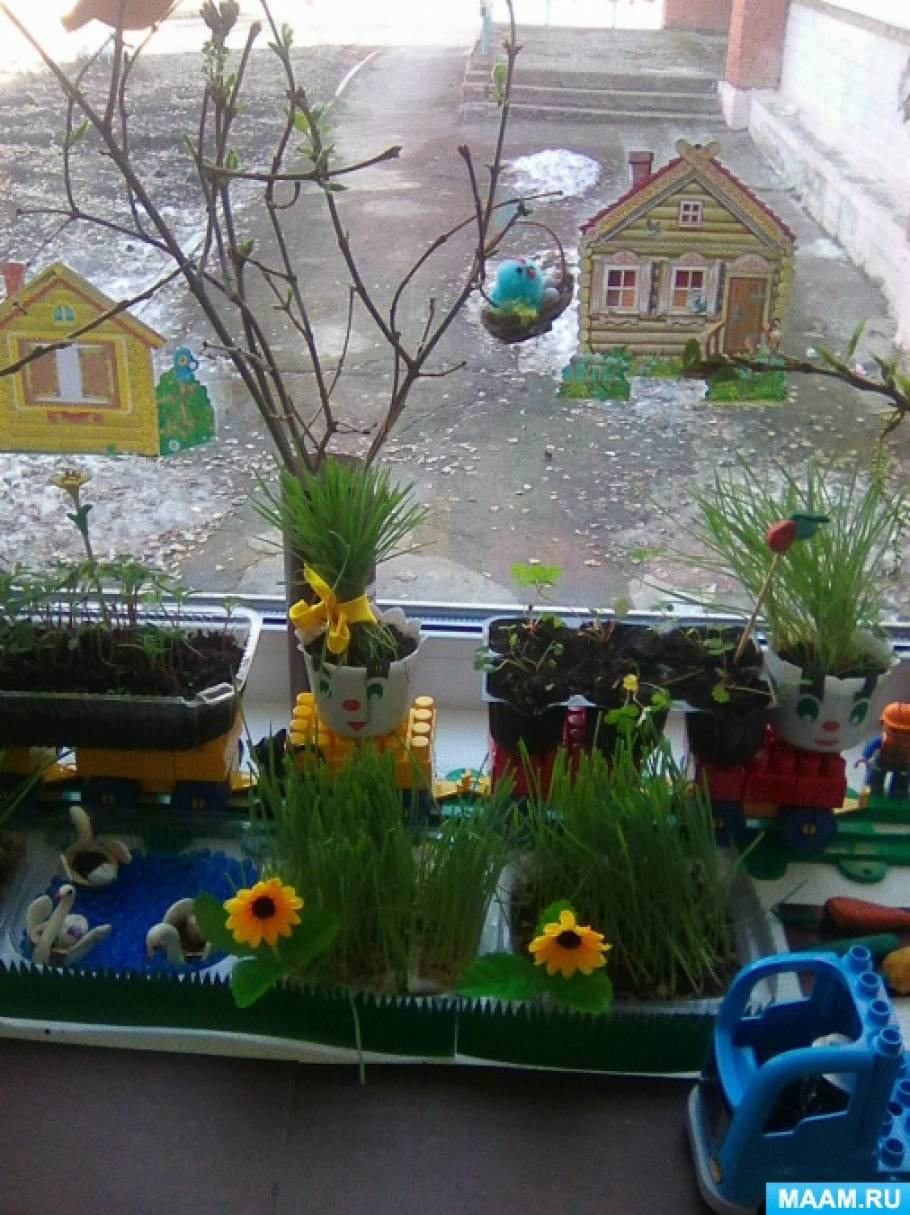 Конкурс огород на окне в детском саду. Сад на окне в детском саду. Огород на окне. Огород на окошке в детском саду. Огород на подоконнике в детском саду.