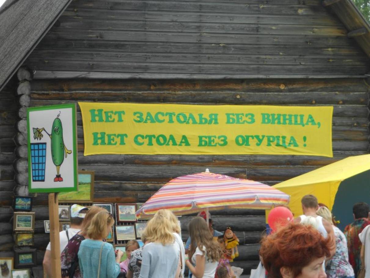 Фото №3 Огурец это растение плоды которого едят в недозрелом виде
