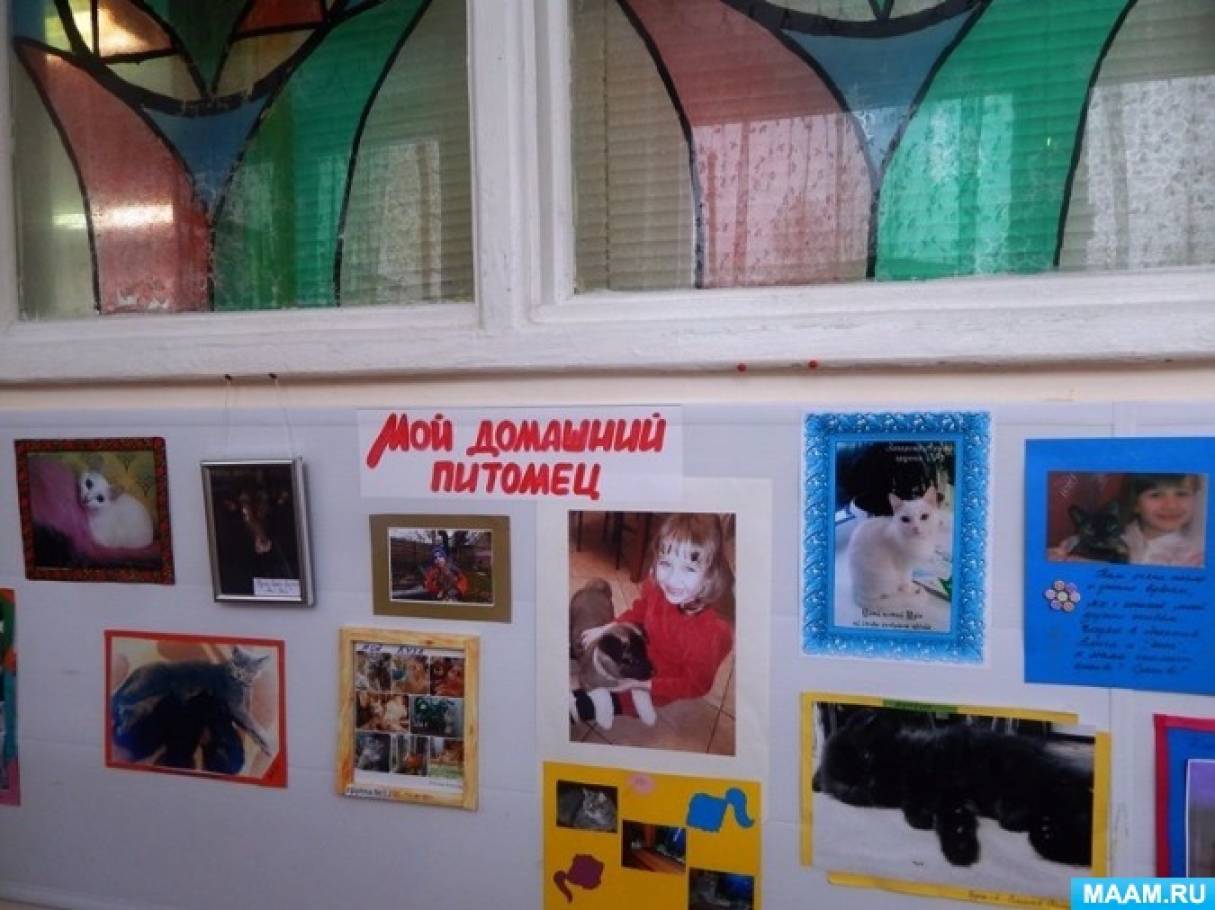 выставка фотографий в детском саду. выставка цель в детском саду. выставка цель в детском саду. фотовыставка в детском саду осень золотая. выставка цель в детском саду.