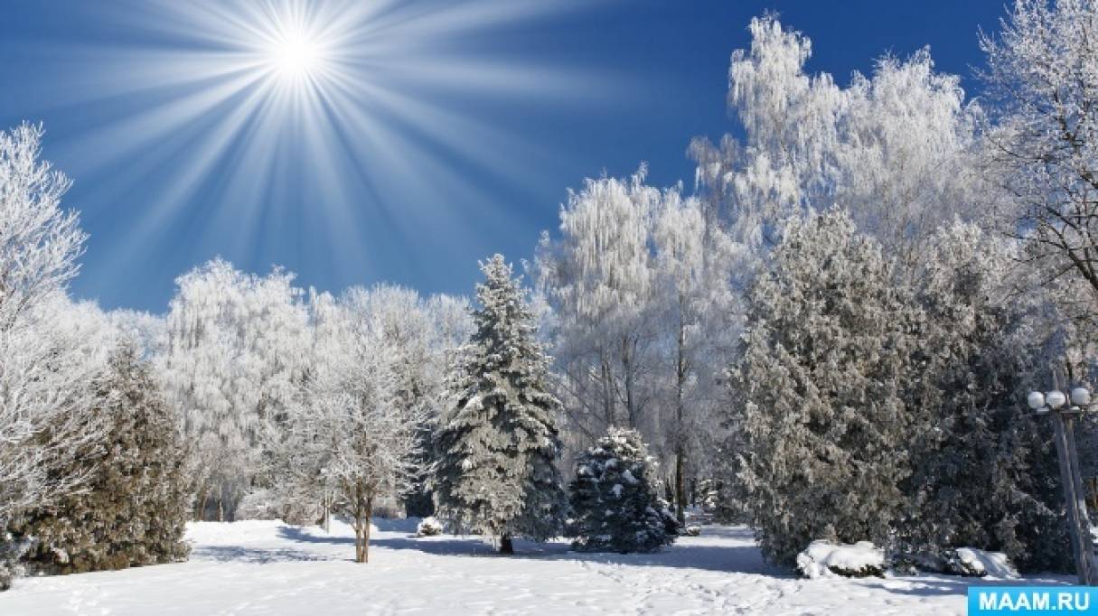 Смотреть фотографию №1 Фото №1 Конспекты зимних занятий Зимний лес Зимний лес