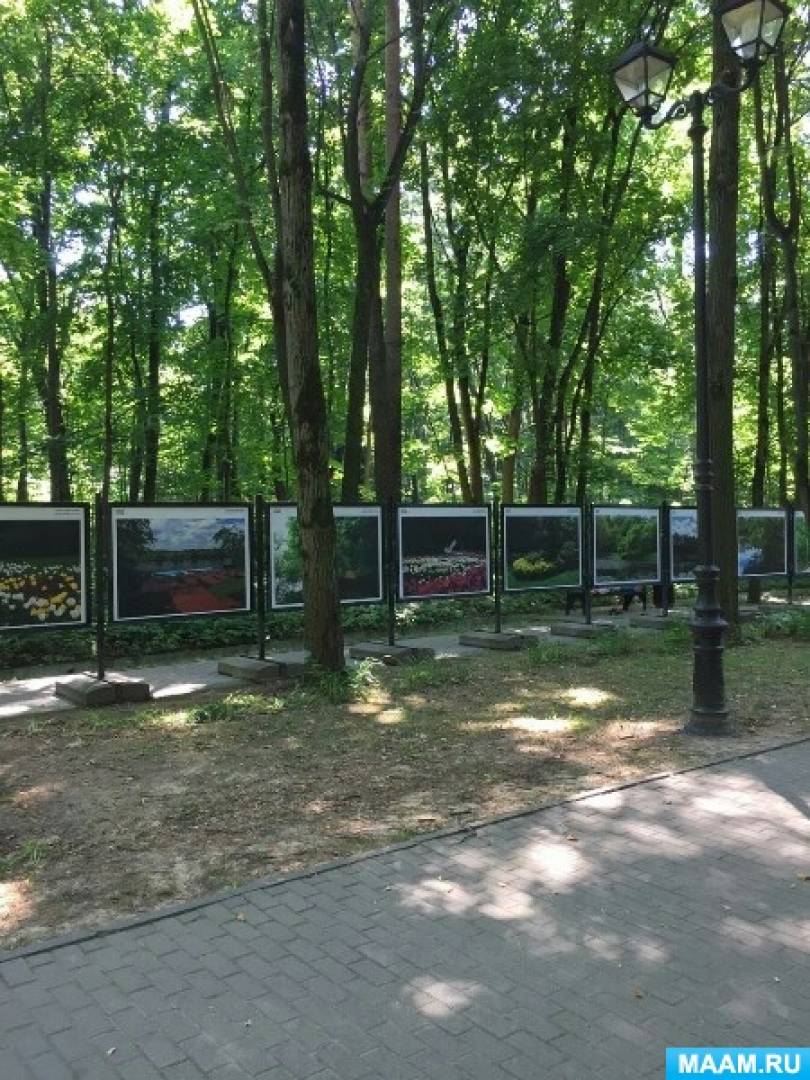 Смотреть фотографию №8 Фото №8 Красивые клумбы из цветов радуют глаз