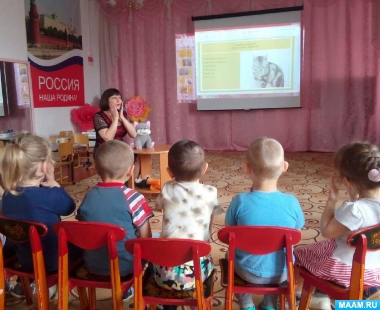 Мягкие лапки а в лапках царапки что это. Смотреть фото Мягкие лапки а в лапках царапки что это. Смотреть картинку Мягкие лапки а в лапках царапки что это. Картинка про Мягкие лапки а в лапках царапки что это. Фото Мягкие лапки а в лапках царапки что это