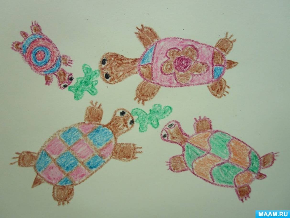 Мастер-класс по рисованию черепахи с детьми старшего дошкольного возраста