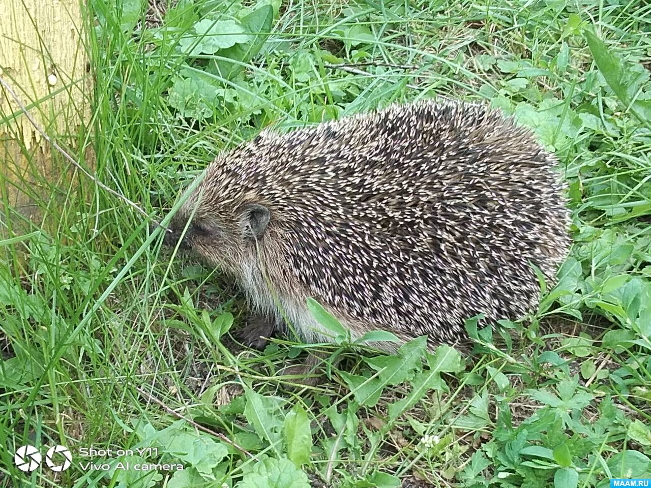 �������� ���������� ����� � ������ � ����� � ������ ������� ������