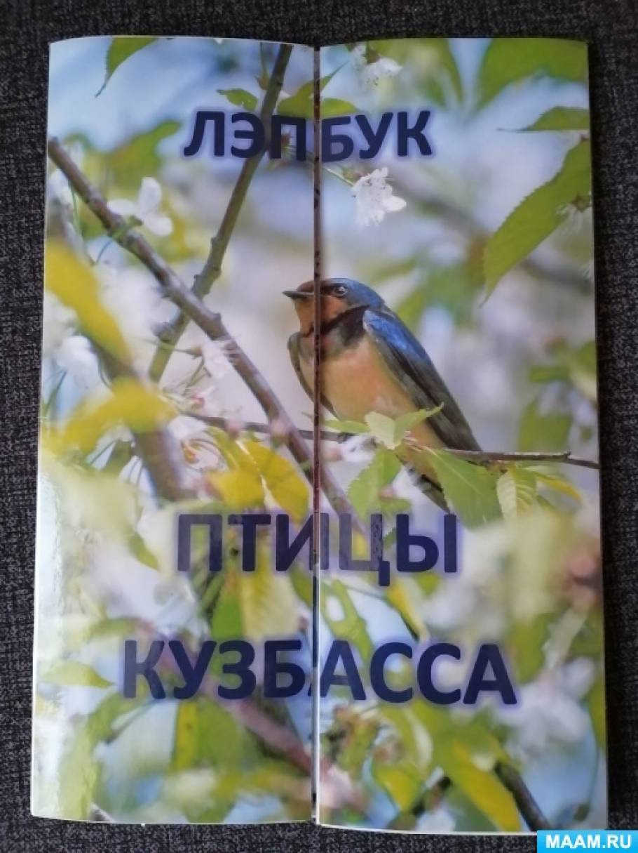 Лэпбук «Птицы Кузбасса»