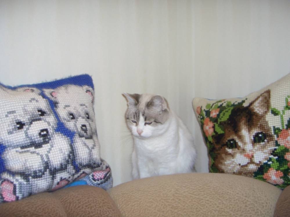 �����-�������� � �������-��������