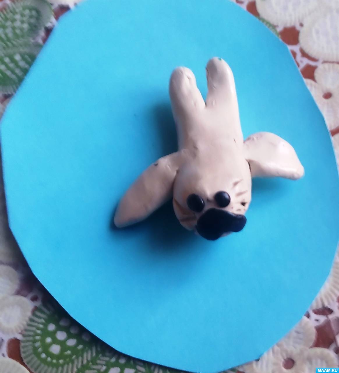 ������� ������-����� �� ����� �� ���������� ����� ��� ����� 5 ��� � �������������� ��� ������ �������