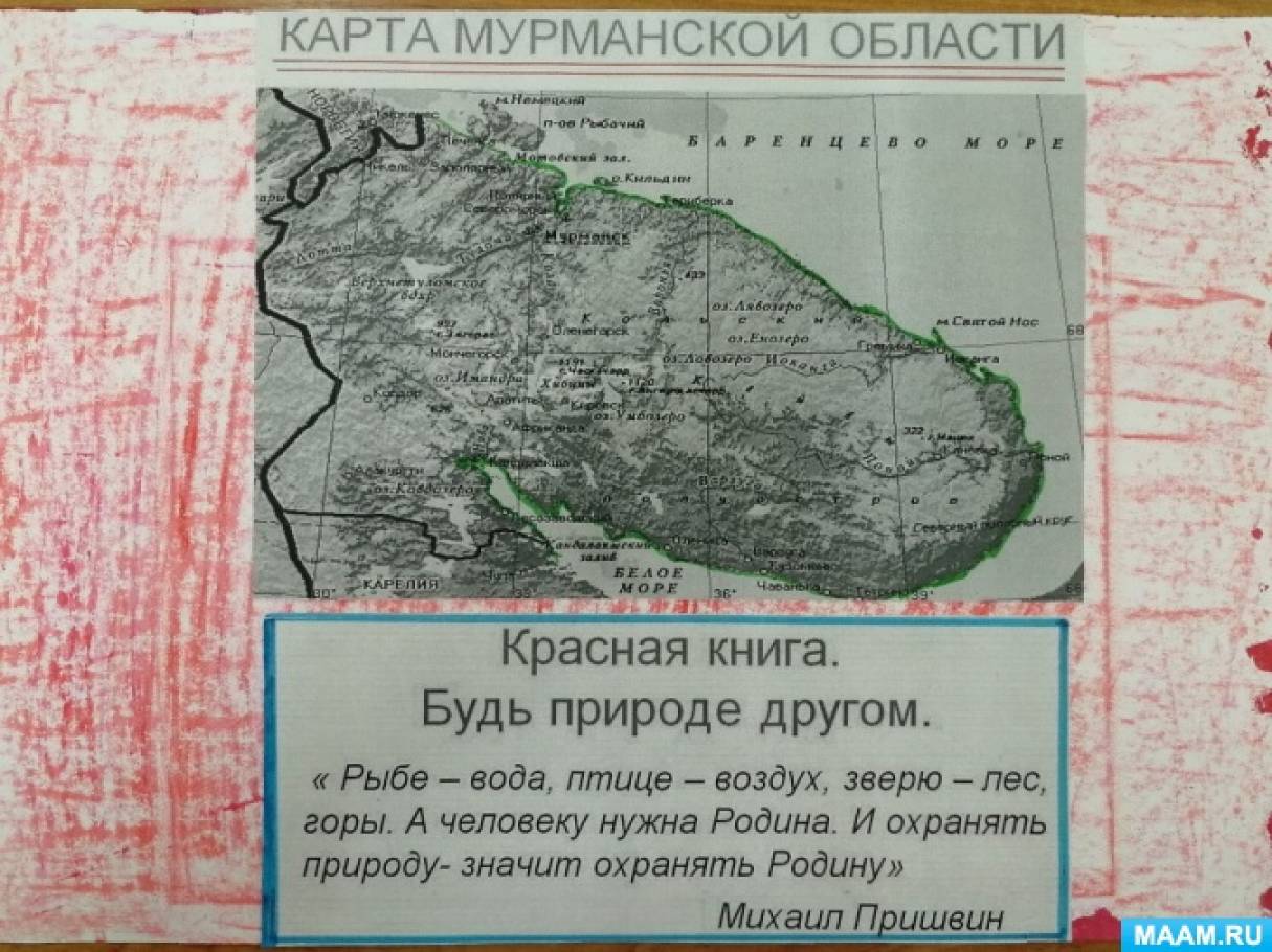 Реализация проекта «По страницам Красной книги Мурманской области»
