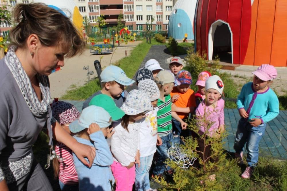 Конспект прогулки в средней группе «В гости к паучку» Фото Конспект прогулки в средней группе «В гости к паучку»