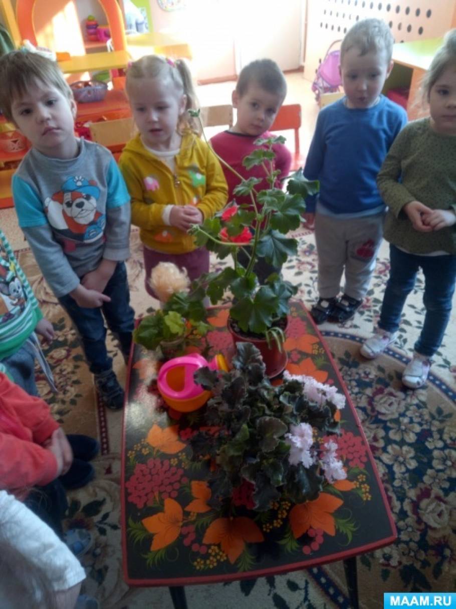 Занятие во второй младшей группе «Цветы на подоконнике» Фото Занятие во второй младшей группе «Цветы на подоконнике»