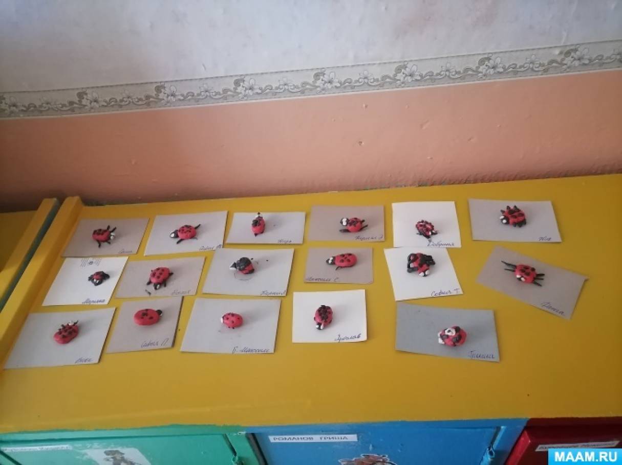Конспект занятия по лепке в старшей группе «Насекомые на лугу»