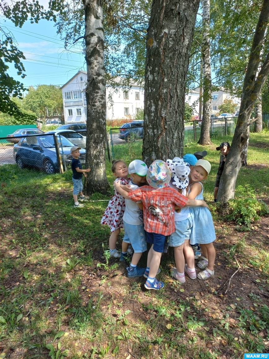 Целевые прогулки по территории детского сада (3 фото). Воспитателям ...