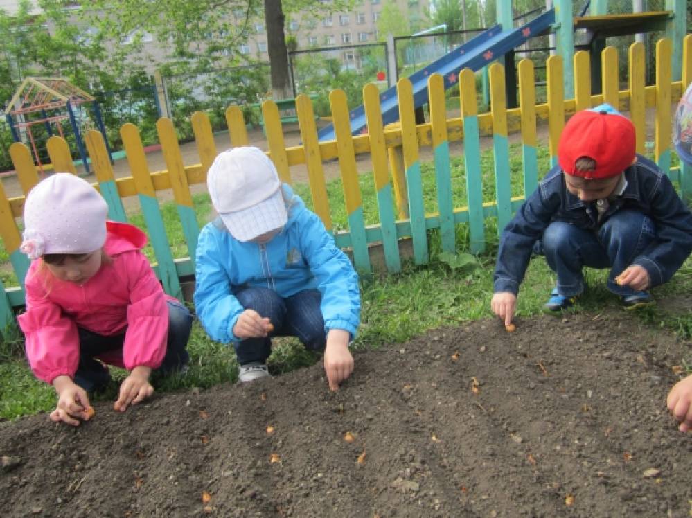 Во Саду Ли В Огороде Фото