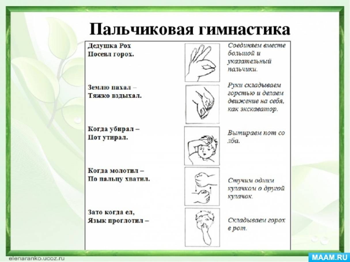 Занятие пальчиковые игры