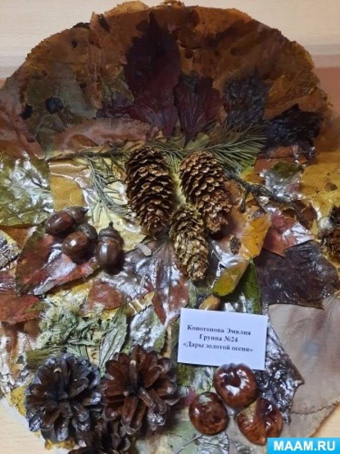 Как назвать выставку поделок осенью. Смотреть фото Как назвать выставку поделок осенью. Смотреть картинку Как назвать выставку поделок осенью. Картинка про Как назвать выставку поделок осенью. Фото Как назвать выставку поделок осенью Как назвать выставку поделок осенью. Смотреть фото Как назвать выставку поделок осенью. Смотреть картинку Как назвать выставку поделок осенью. Картинка про Как назвать выставку поделок осенью. Фото Как назвать выставку поделок осенью