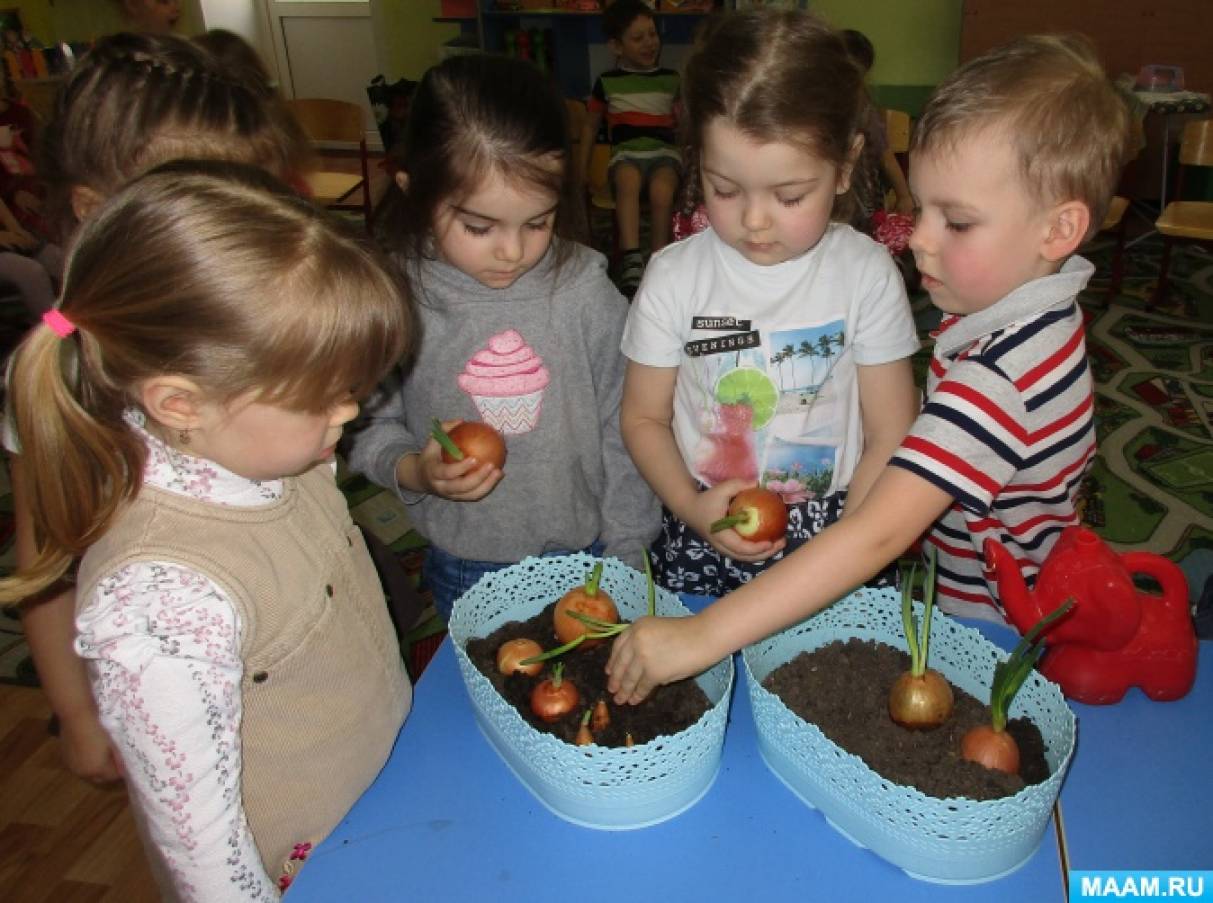 Фото «Чудо-огород»