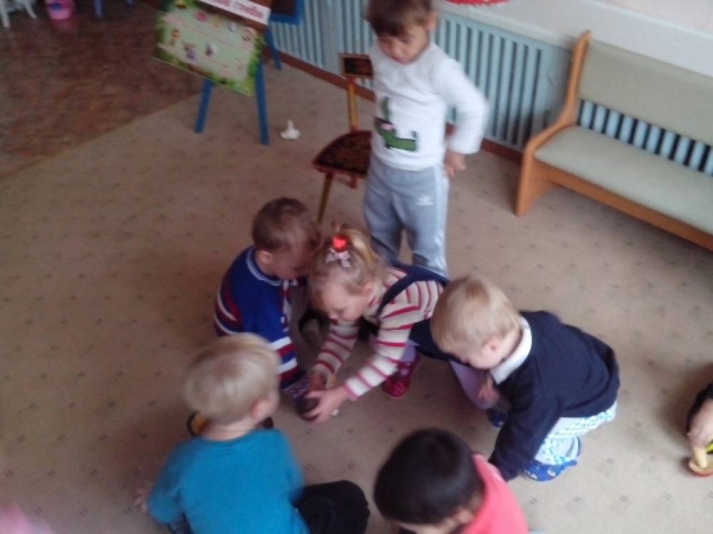 Фото «Поляна грибов»