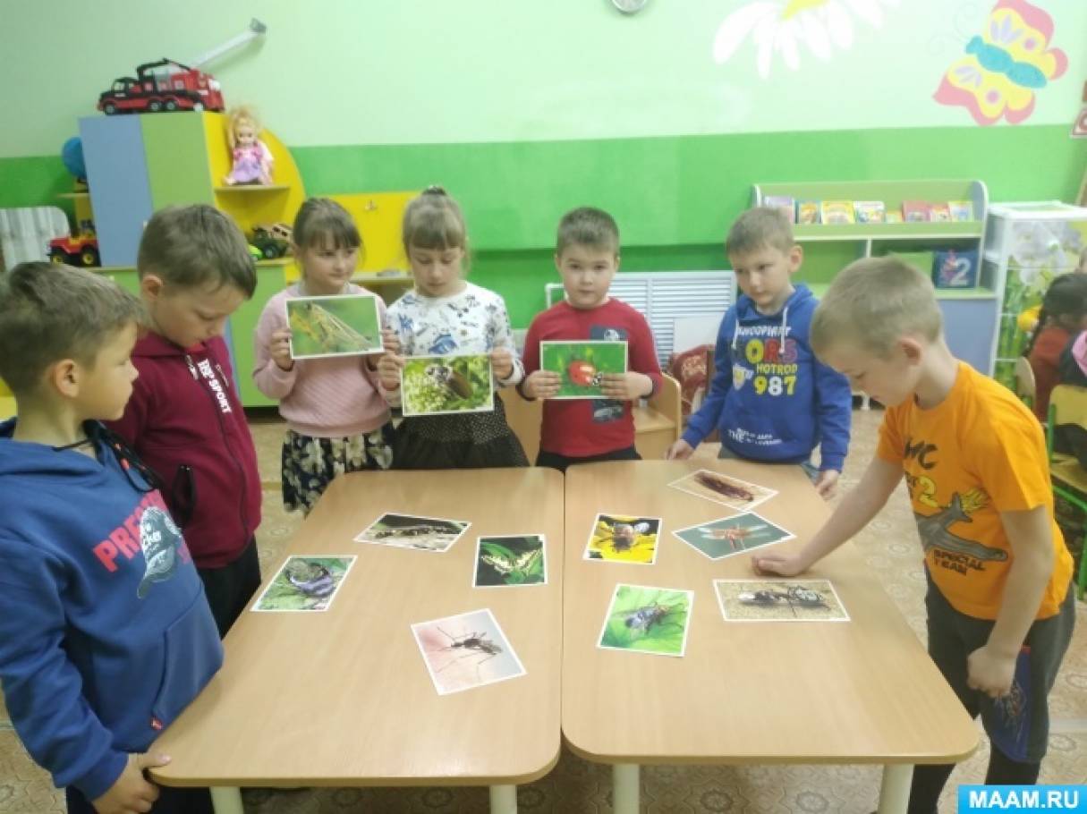 Игра-викторина для детей подготовительной группы «В царстве насекомых»