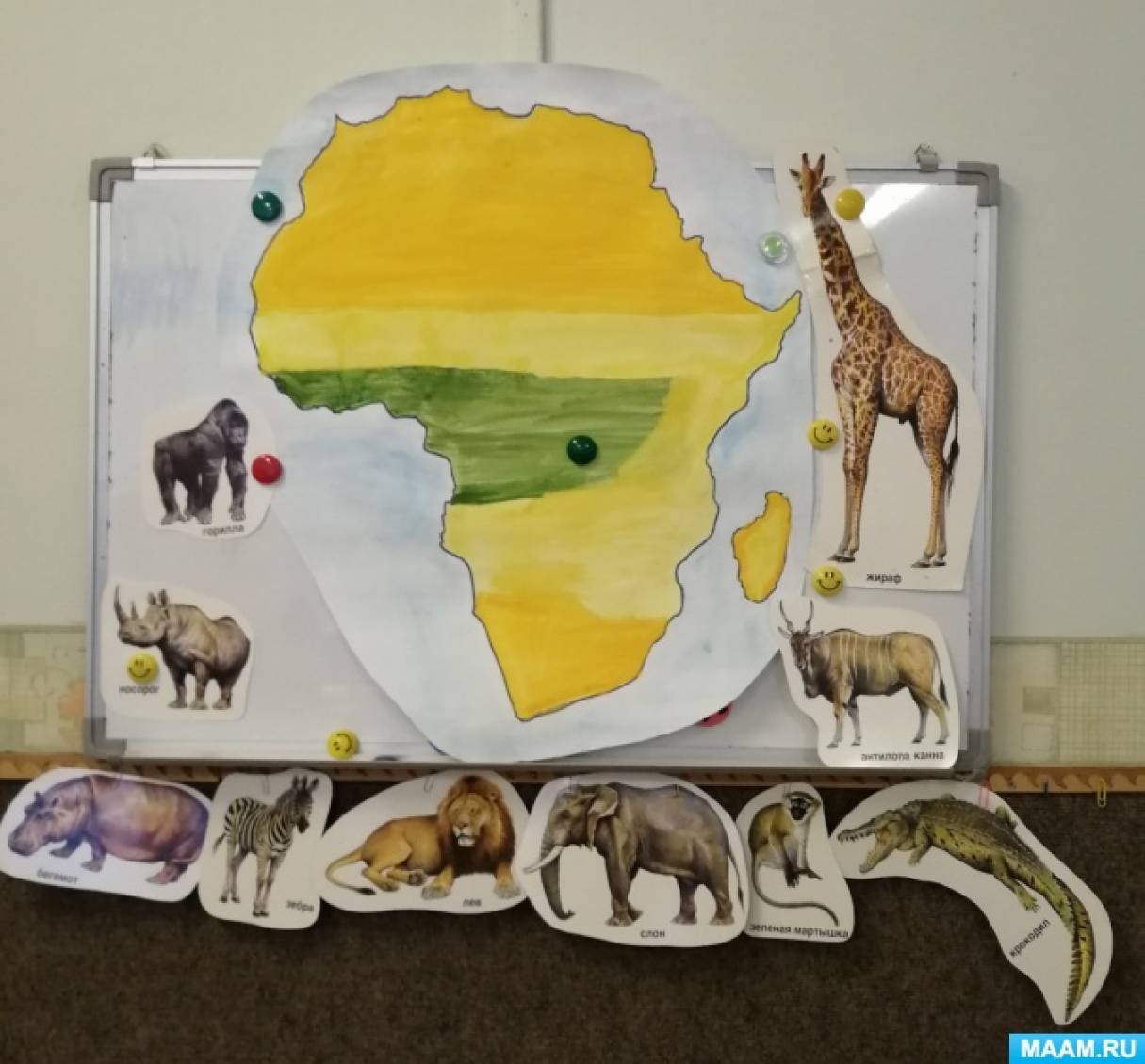 Макет животные жарких стран в детском саду. Животные жарких стран подготовительная группа. Проект животные Африки подготовительная группа. Рисование животные жарких стран и севера.