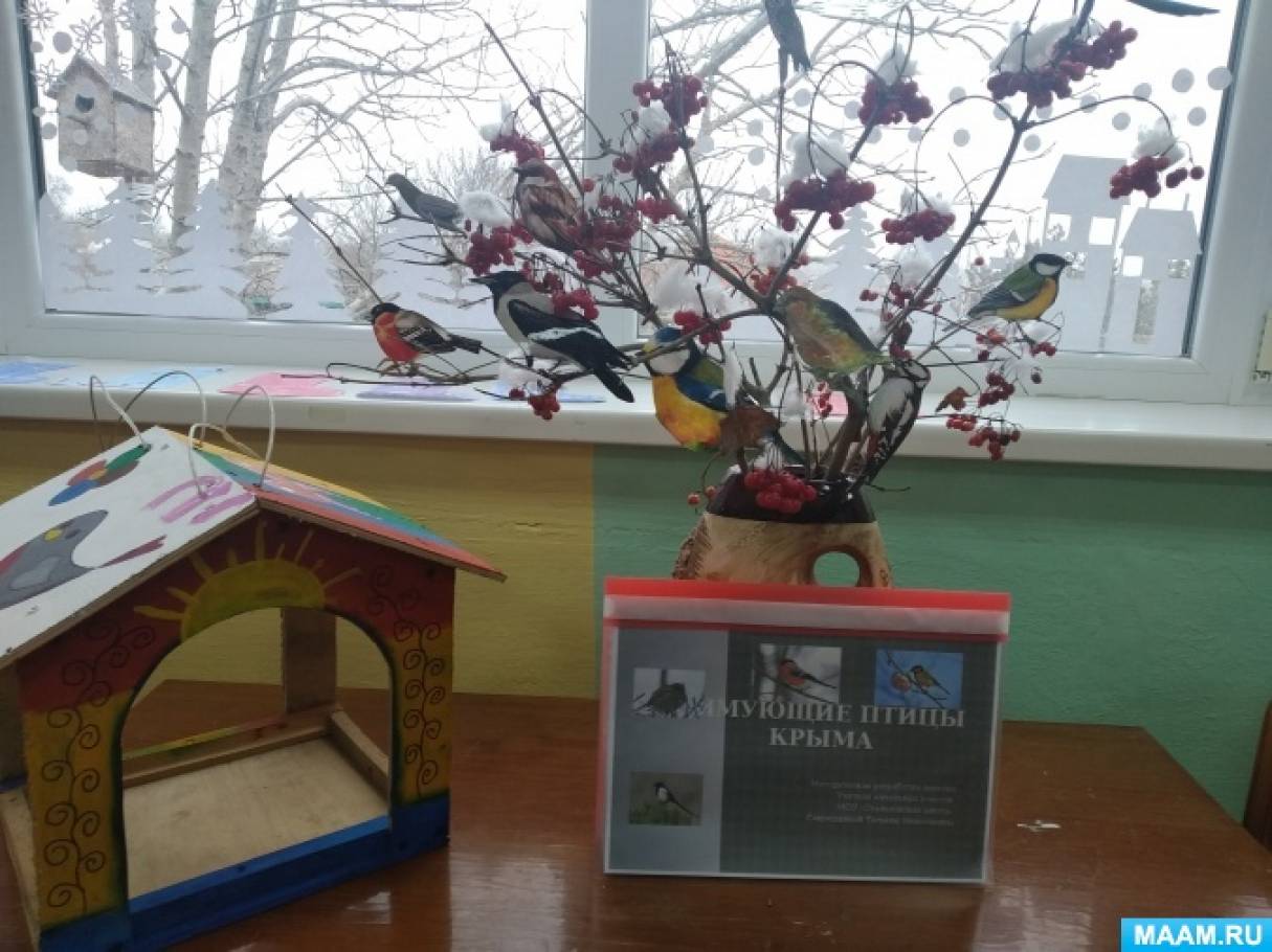 Экологический проект в старшей группе «Зимующие птицы Крыма»